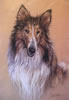 Lassie